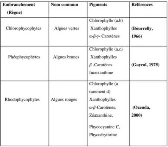 Tableau 3 : pigmentation des 3 types d’algues 