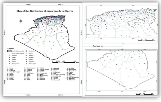 Figure 1  :  Répartition des «races» ovines étudiées au niveau du territoire algérien 