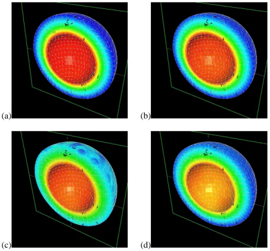Figure 4. Test-case C. Top row : noise level is 0%. At convergence, we plot a plane slice of the level sets of (a) u 1 and (b) u 2 