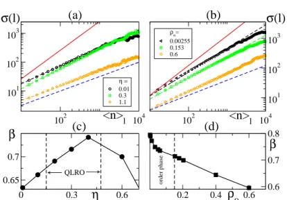 Fig. 8. Number fluctuation statistics. (a) Scaling of the variance of the particle number σ(l) vs