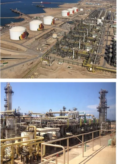 Fig. I.2-  Complexe de liquéfaction du gaz naturel « SONATRACH – GL3/Z » [3].  