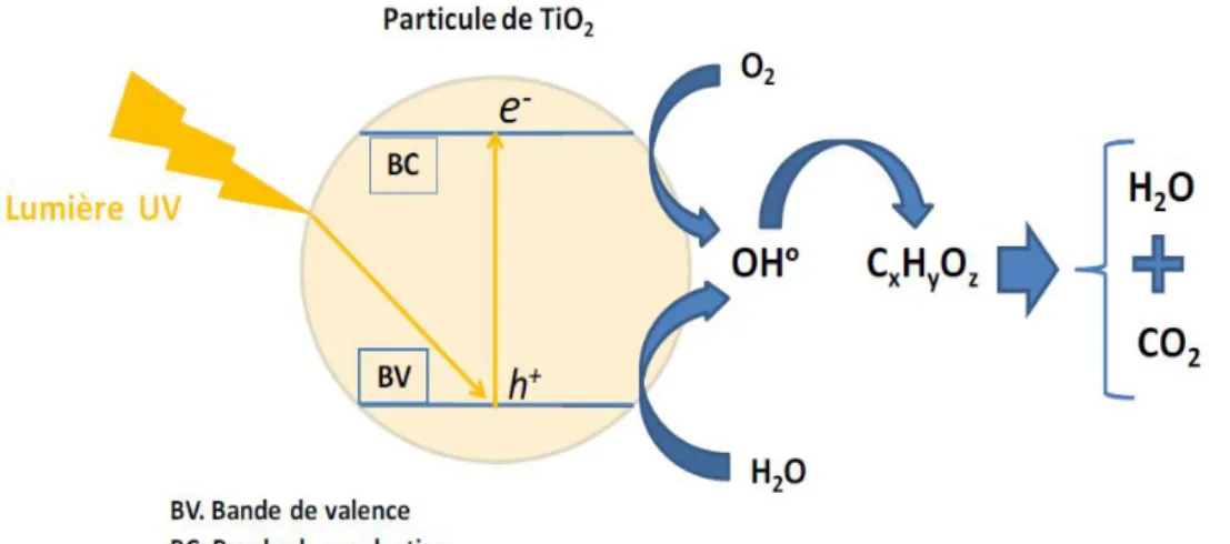 Figure I.3. Représentation schématique de la dégradation d’un polluant organique (C x H y O z )  par le mécanisme la photocatalyse hétérogène