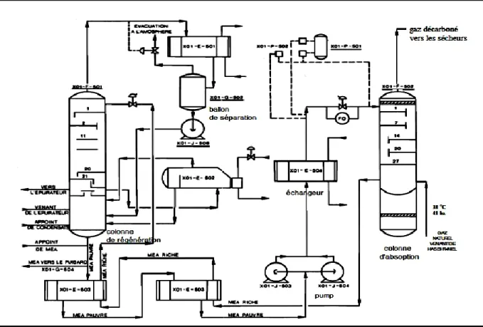 Figure II.1: Schéma de la section de  décarbonatation. 