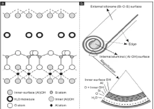 Figure I.10 : Schéma représentatif de structure cristalline (a) et tubulaire (b) d’halloysite [51] 