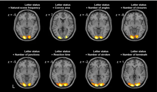 Fig. 4. Occipital activation is primarily determined by letter status, even when other confounded variables are taken into account