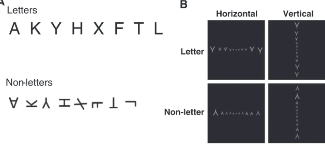 Fig. 5.Stimulus design for Experiment 2. The experiment was designed to test the hypothesis that early visual cortices would be especially responsive to letters presented in their normal orientation and at the usual horizontal location