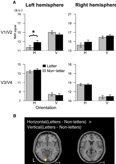 Fig. 6. fMRI responses to letter and non-letter stimuli in early retinotopic areas. A: ROI analysis within anatomically-deﬁned probabilistic maps for V1/V2 and for V3/V4, subject-speciﬁc voxels were selected based on their stronger responses to horizontal 
