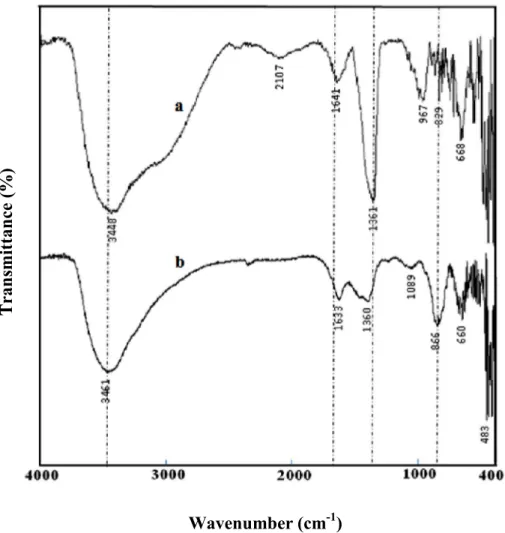 Figure III-17: Spectres IR de : (a) HT-CO 3  et (b) son produit de calcination HT-C. 