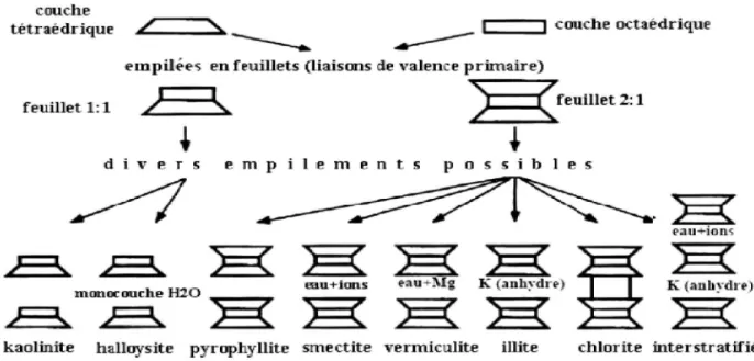 Figure I.7 : Représentation schématique de quelques minéraux argileux (Duchaufour, 1988)  I-5