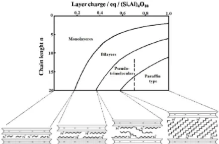 Figure I.10 : Arrangement des ions alkylammonium à la surface des feuillets d’une smectite  (Lagaly, 1986)
