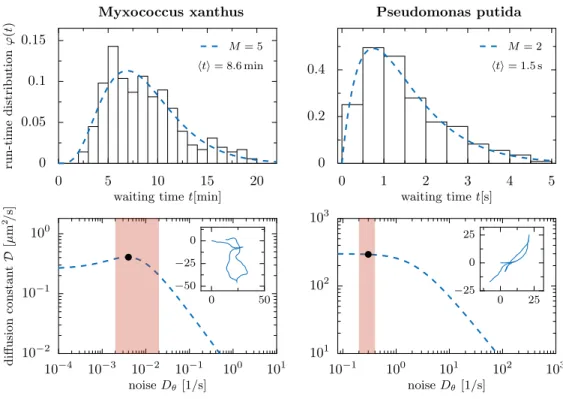 Figure 9. Upper panel : run-time distribution ϕ(t) for the bacteria Myxococcus xanthus (left) and Pseudomonas putida (right)