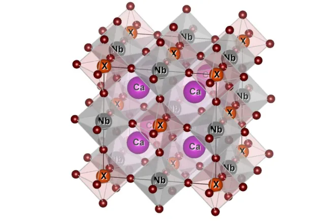 Figure II. 7 Représentation de la structure du Ca2XNbO6 utilisée  