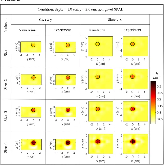 Fig. 2. Numerical and experimental 3D reconstruction absorption maps with non-gated SPADs  at 3.0 cm source-detector distance represented in a vertical (z-y) and a horizontal (y-x) slices  both passing through the expected center of the inclusion (x = 0, y