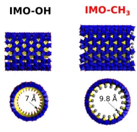 Fig. 1 Structures of standard (IMO-OH) (left) and hybrid (IMO-CH 3 ) imogolites (right)