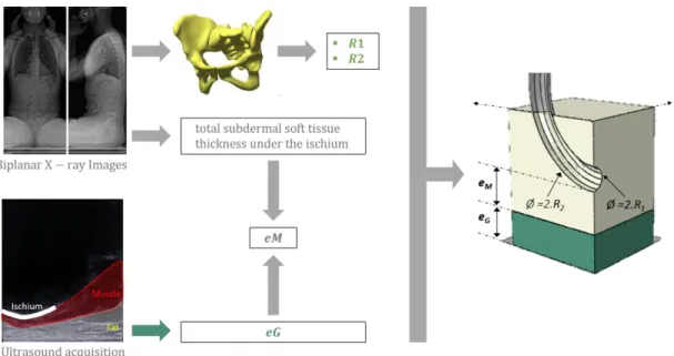 Figure 2: Local FE model geometry generated from the 4 geometric parameters R1, R2, eF, eM extracted from the ultrasound 