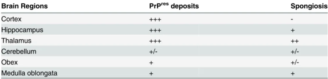 Table 1. Regional distribution of PrP res and vacuolation in the brain of transgenic rabbits expressing ovine PrP challenged with LA21K fast prions.
