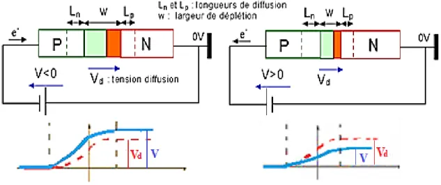 Figure 15 : Jonction PN : a) polarisée en sens inverse. b) polarisée en directe. 