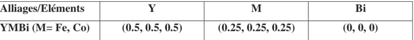 Figure III.1: Structures cristallographique du YMBi (M=Fe, Co) dans les trois types. 