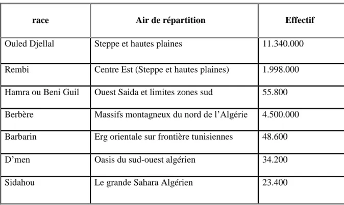Tableau N° 1: Diversité du cheptel ovin algérien. 