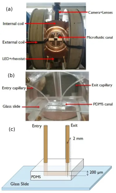 Fig. 3. Experimental setup (a). A magnified view showing a microfluidic channel placed in the center of two pairs  of coils is shown in (b)