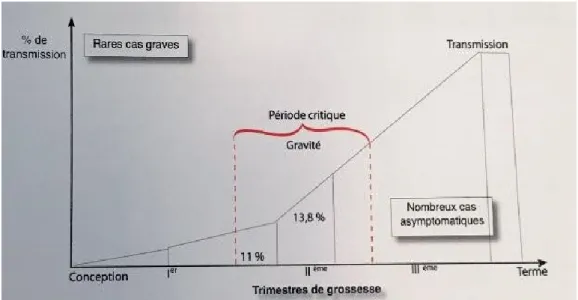 Figure N° 5 : Risque de transmission et gravité de l’atteinte de l’enfant en fonction de la   Période de primo infection de la mère 