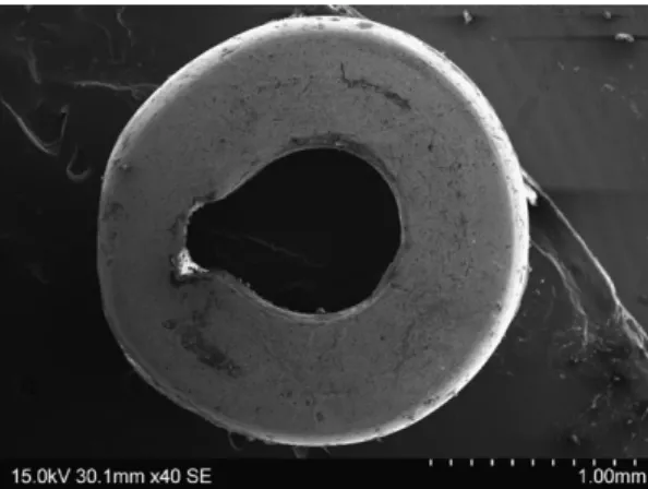 Fig. 8. Stereomicroscope image of gold microbead from El Chorro de Maíta (N.B. the aluminum wire inside the hole is modern and was placed there to facilitate handling) (photograph by Dominique Bagault, CR2MF).