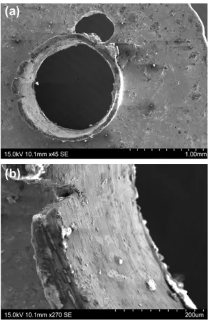 Fig. 14. SEM oblique image of the perforation in the pendant from El Chorro de Maíta, showing a ﬁne polishing that has removed any tool marks (photograph by Marcos Martinón-Torres and Roberto Valcárcel Rojas).
