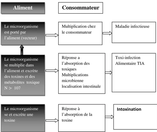 Figure N°01 : Principale interactions entre aliment, microorganisme, consommateur   (Jean-Lous, 2007)