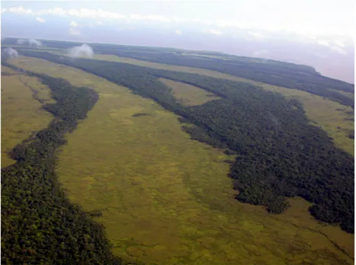 Figure 2 – Flooded coastal plain where elongated sandy ridges run parallel to the sea- sea-shore, eastern Suriname (photo S