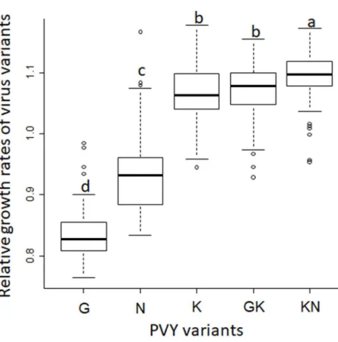 Fig. 1 Distribution of the relative growth rates of the five PVY variants in 84 pepper DH lines