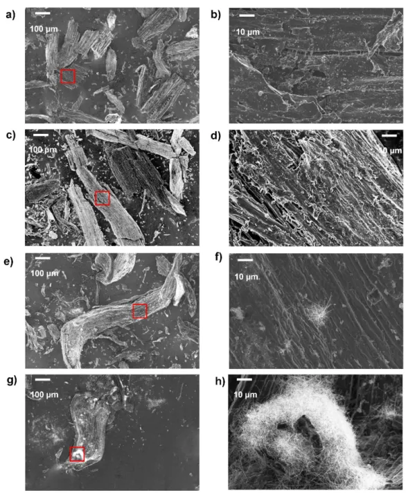 Figure 5. SEM images for hard carbons obtained at 1400 °C derived from (a,b) pine, (c,d) beechwood,  (e,f) miscanthus, and (g,h) wheat straw.