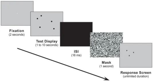 Figure 1. Schematic of the experimental design for the localization task. 