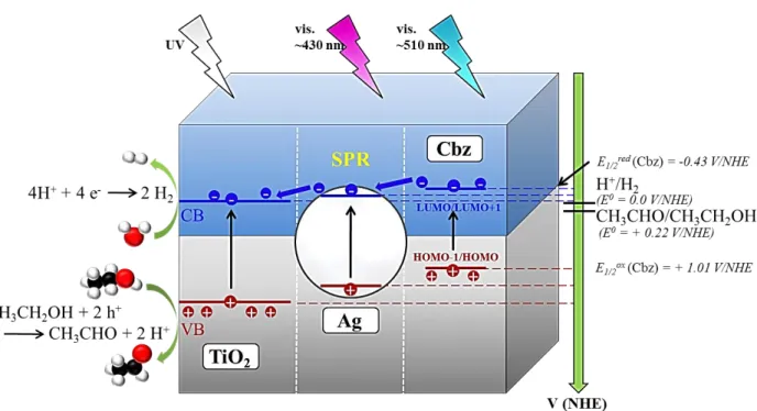 Figure  7.  Illustration  of  a  possible  electron  transfer  mechanism  in  the  triptych  TiO 2 /Ag/Cbz  material