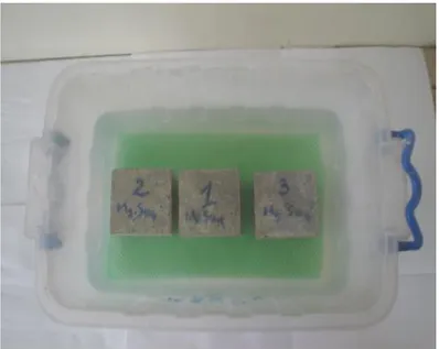 Figure II.4  Eprouvettes de béton immergées dans une solution sulfatique. 