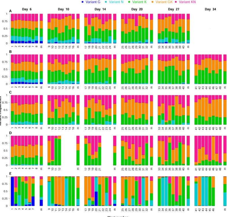 Fig 2. Five contrasting datasets obtained in the biological experiment. Each line of bar plots represents the dynamics of virus variants in a single DH line over time: (A) 240, (B) 2430, (C) 2344, (D) 2321 and (E) 219