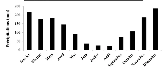 Figure 2.5 : Précipitations  mensuelles du Parc National de Theniet El Had II.6.2.Température  