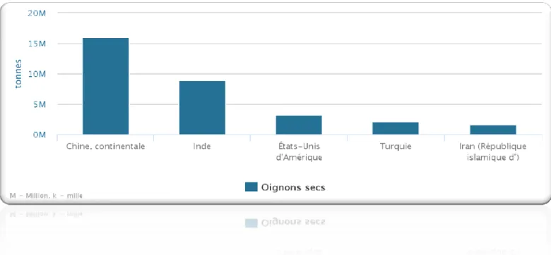 Figure 9 : Les principaux  producteurs d’oignon (FAOSTAT 2016)  