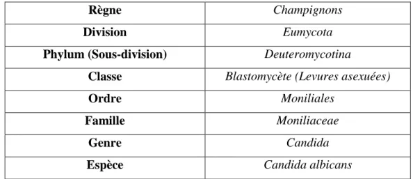 Tableau 03: Classification du C. albicans (Kwon Chung et Bennet 1992). 