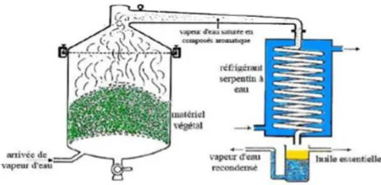 Figure 1: principe de l’appareillage d’extraction par entraînement à la vapeur d’eau (A.Elhaib, 2011) 