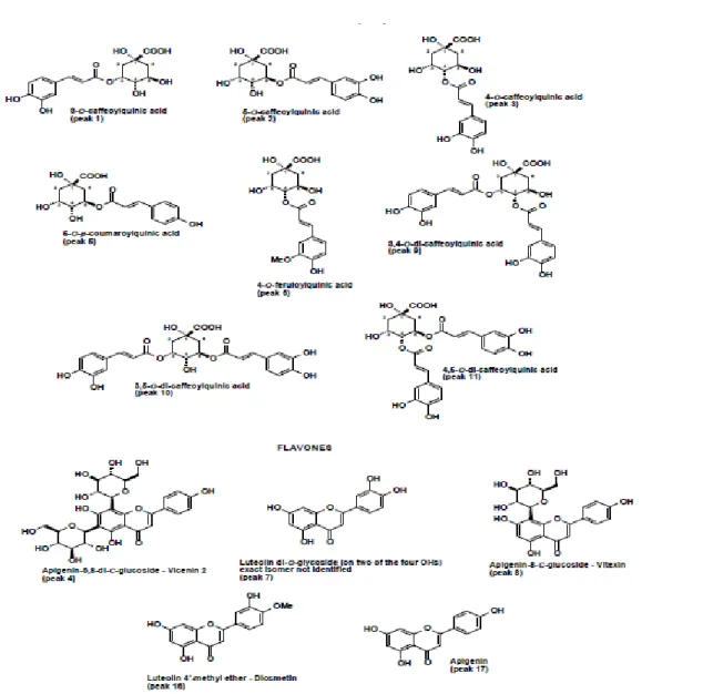 Figure 5 : Structure des composés identifiés dans l’extrait d’Artemisia herba alba. 