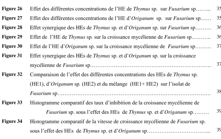Figure 26  Effet des différentes concentrations de l’HE de Thymus sp.  sur Fusarium sp……..