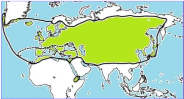 Figure 02: Distribution géographique de thym dans le monde(Le cercle noir représente la  zone de distribution du genre Thymus dans le monde) (Stahl-Biskup et Saez, 2002)