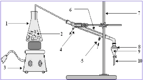 Figure 10: Montage de l'hydrodistillation. 1 : erlemnyer; 2 : l’eau + plante ; 3 : chauffe  ballon; 4: sortie de l’eau ; 5: entrée de l’eau; 6 : réfrigérant; 7 :  support de réfrigérant; 