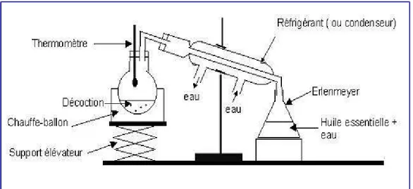 Figure 05: Montage à hydrodistillation simple 