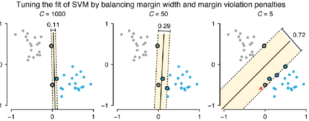 Figure 2 | The balance between the width of the margin and penalties for margin  violations is controlled by a regularization parameter, C