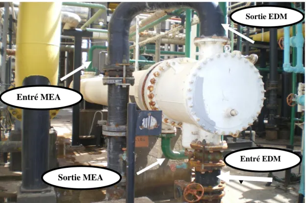 Figure III.1 : Position de l’échangeur de chaleur E.504 dans la section de décarbonatation