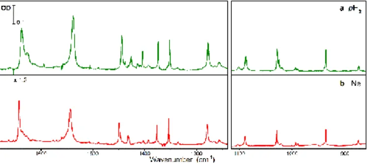 Figure 4: Time evolution of OH  (left panel) and OD (right panel) bands in an  AcAcD2/pH2 sample including totally hydrogenated and monodeuterated  acetylacetone as impurities.