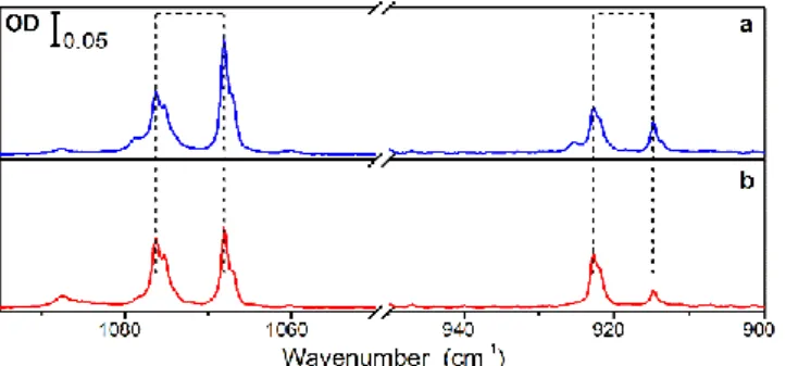 Figure 7: Doublets in the IR spectrum of MACl in pH 2  (a) just after deposition; (b) one  day later.
