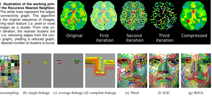 Figure 4. Illustration of the working prin- prin-ciple of the Recursive Nearest Neighbor, ReNA: The white lines represent the edges of the connectivity graph