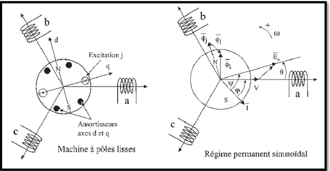 Figure II.1 : Machine synchrone triphasé avec amortisseurs [5]